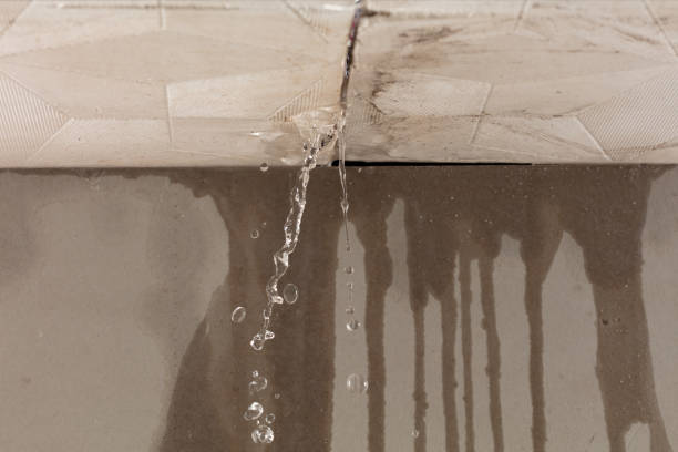 Professional Structural Drying technician working in Lubec, ME